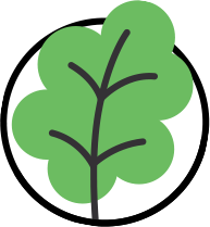 Ikona drzewa Dąb