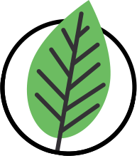 Ikona drzewa Meranti
